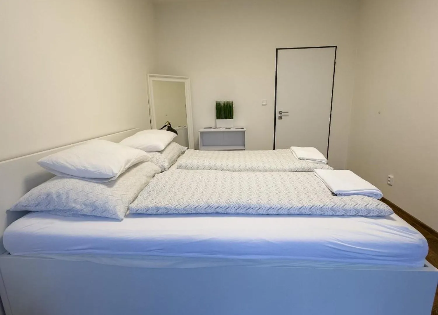 Haas Apartments Downtown With Parking Brno Czech Republic