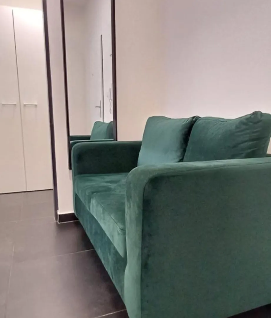 Haas Apartments Downtown With Parking Brno
