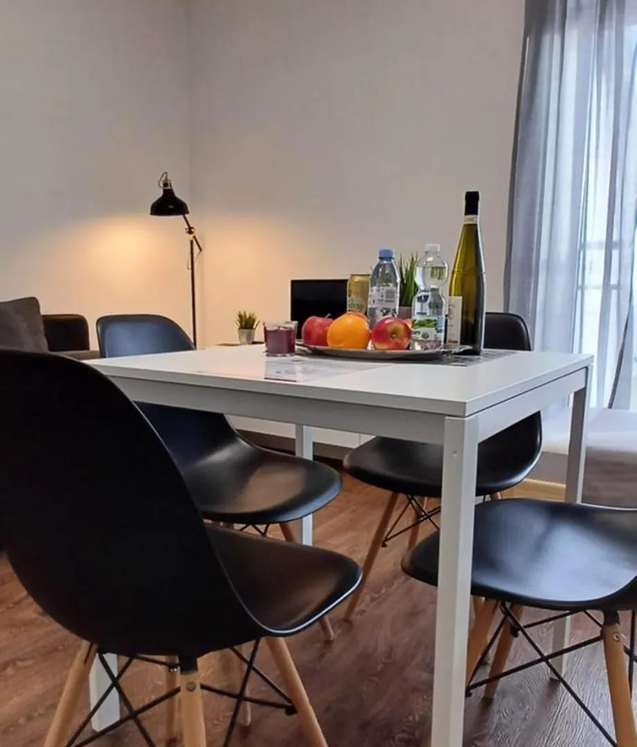 Haas Apartments Downtown With Parking Brno Czech Republic