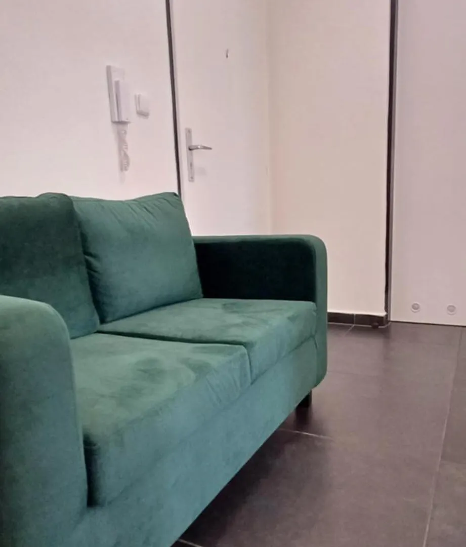 Haas Apartments Downtown With Parking Brno