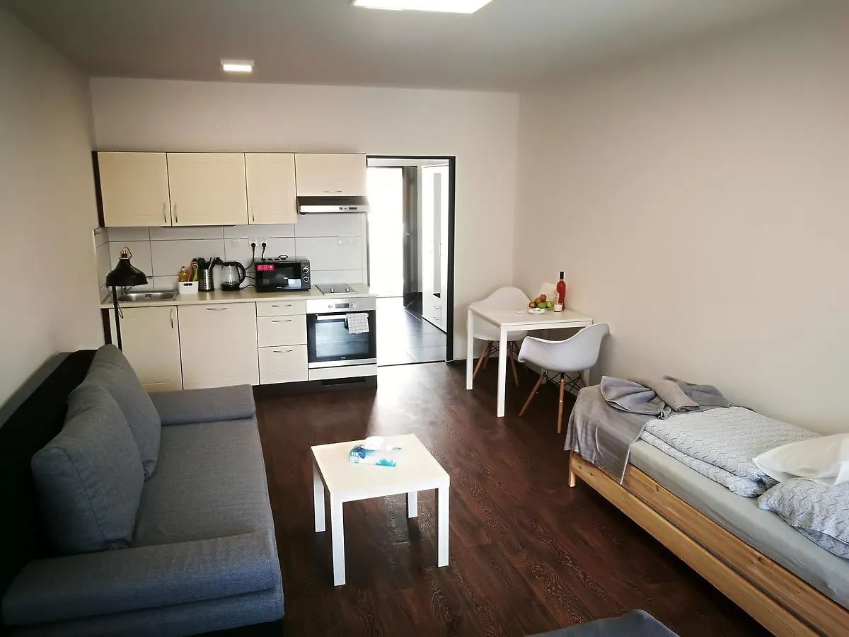 Haas Apartments Downtown With Parking Brno