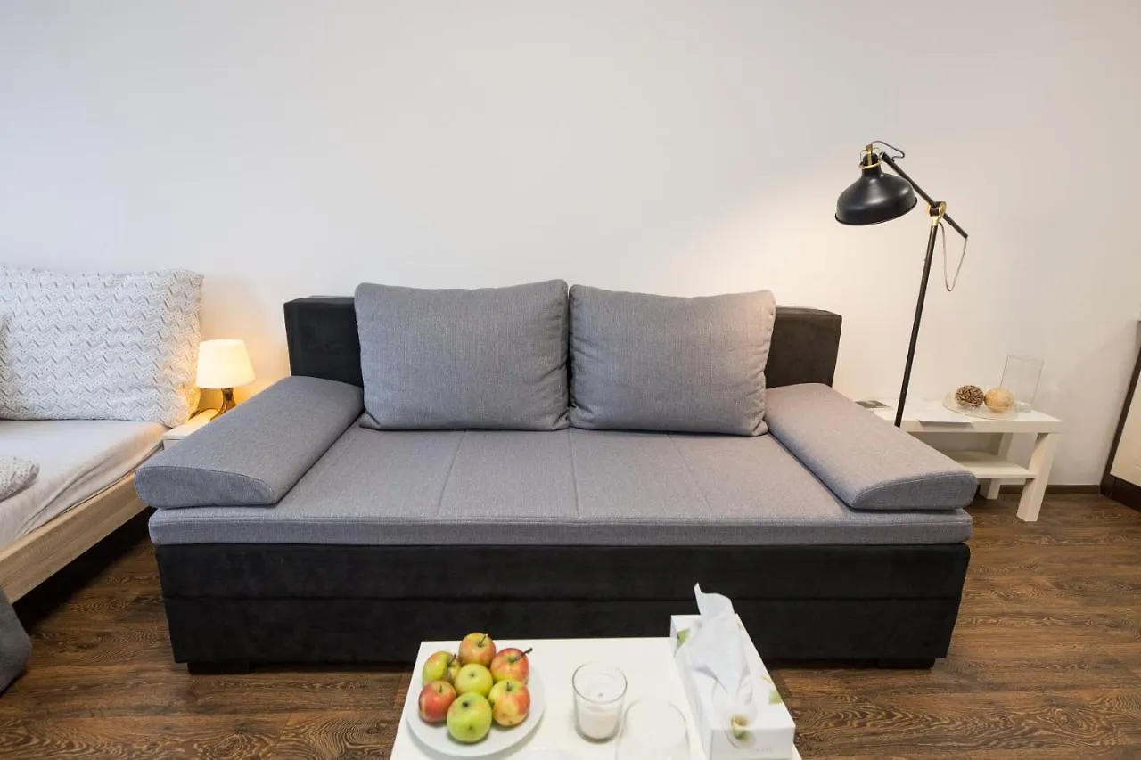 Haas Apartments Downtown With Parking Brno